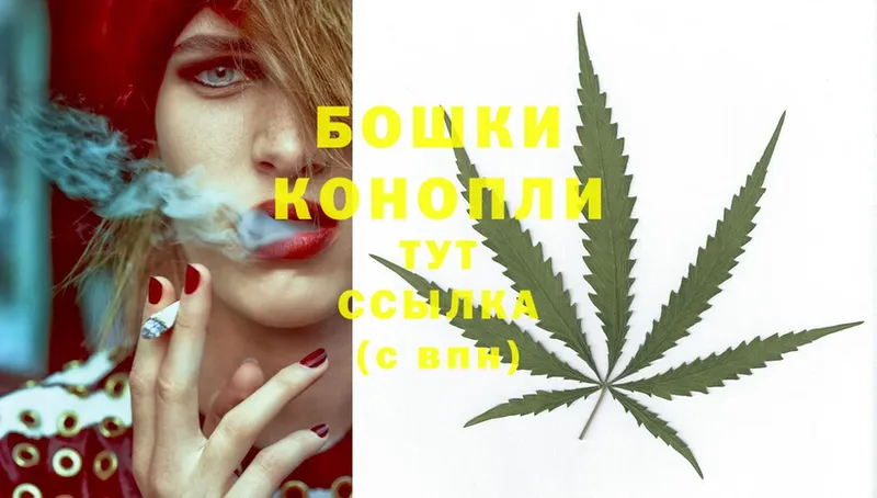 Бошки марихуана THC 21%  Кандалакша 